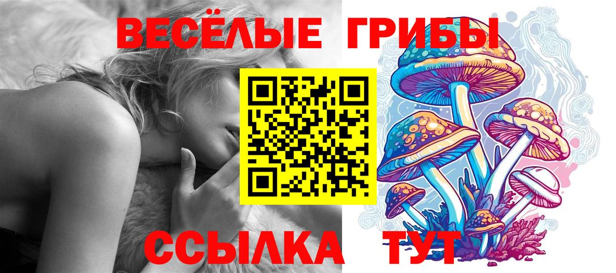 Галлюциногенные грибы мухоморы  Вход с VPN  Краснотурьинск 